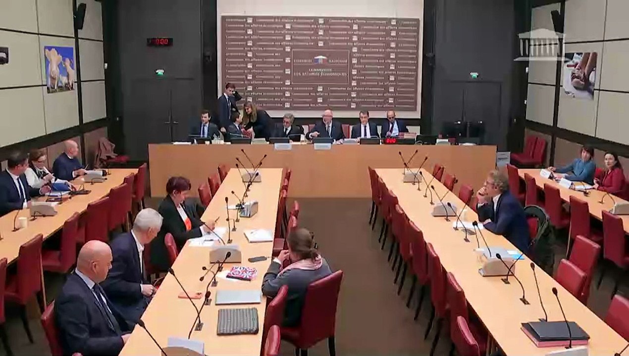 Commission des affaires économiques : M. Serge Papin, ministre des Petites et moyennes entreprises, du Commerce, de l’Artisanat, du Tourisme et du Pouvoir d’achat - Mardi 2 décembre 2025