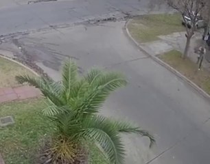 Argentina: así mujer policía argentina se defendió con disparos de delincuentes