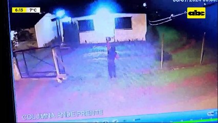 Video: Tres perros evitaron un robo domiciliario