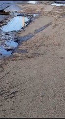 Calamitoso Estado De La Calle