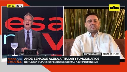 ANDE: senador acusó a directivos de coimear y pidió la renuncia del presidente
