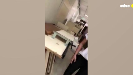 El día que la jueza Celeste Jara perdió los estribos, maltrató a funcionarios y fue filmada