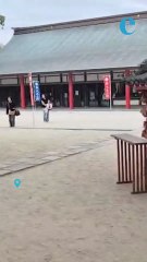 The peaceful beauty of Fukuoka's shrines, gardens and island vistas