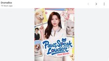 Paws Speak Louder Than Words Chinese Drama - Full Movie 2025