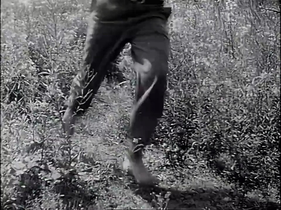 Arche Nora (1948)