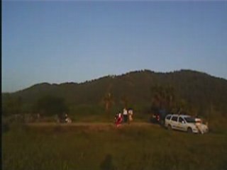 RC plane bird of prey