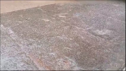 Ola de frío y heladas en Itapúa