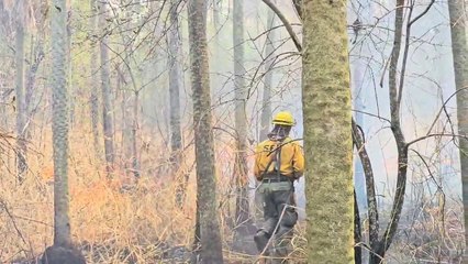 Bomberos trabajan para controlar los incendios en Fuerte Olimpo