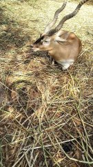 I know you agree with me.