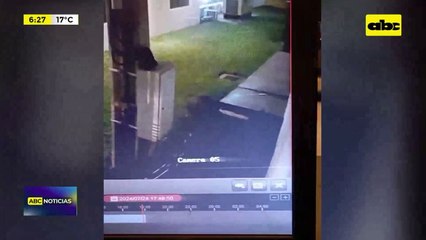 Video: Músicos fueron víctimas de inseguridad