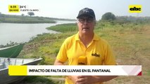 Falta de lluvias en el Pantanal: riachos comienzan a secarse