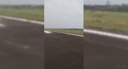 Aeropuerto Silvio Pettirossi Reactivo De Emergencia El Servicio De Cetrería Tras Dos Vuelos Afectados Por Aves