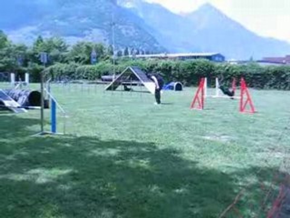 MVI_3446