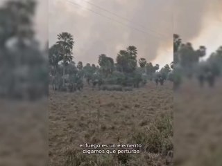 El Ministerio Del Ambiente Invita A La Ciudadanía A Abstenerse De Hacer Fogatas