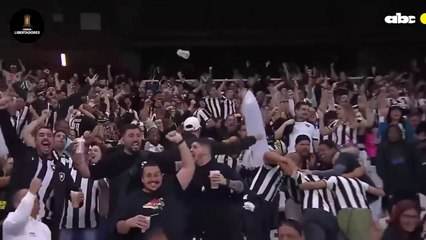 Botafogo derrotó 2-1 a Palmeiras