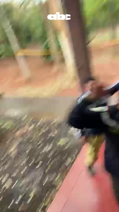 Lluvias aplacan focos de incendio en Parque Nacional Cerro Corá