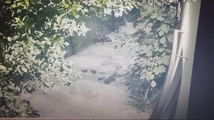 Asalto Frustrado A Cooperativa De Pirayú