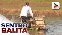 Pilipinas, target na manguna pagdating sa World’s Best Rice; MSRP sa carrots, ipatutupad simula sa Biyernes ayon sa D.A. | ulat ni Denisse Osorio
