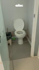 Alimañas, heces y deterioro en los pasillos del Hospital Nacional de Itauguá