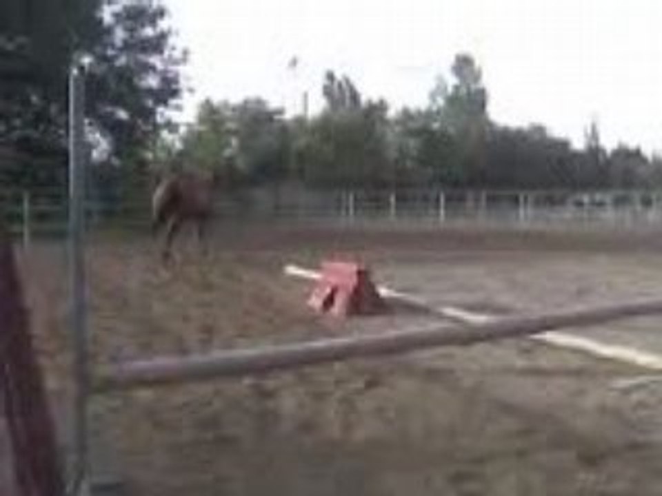prince qui saute