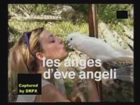 Eve Angeli - Une passion: les animaux