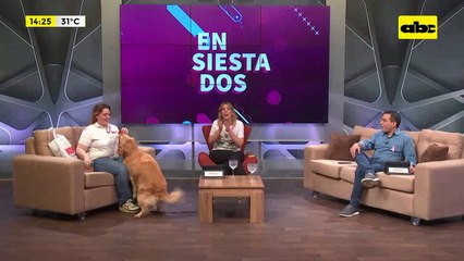 Obesidad en perros: ciertas razas tienen mayor predisposición