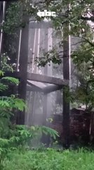 Hospital Nacional de Itauguá en estado de abandono