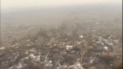 Desolador panorama dejan los incendios en el Chaco Paraguayo