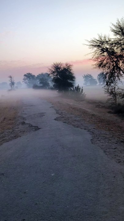 Morning walik in village vlog