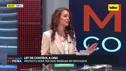 Ley de control a ONG: “el plan que tienen es institucionalizar la bicameral”, según diputado