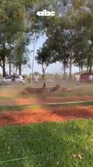 Menor de 16 años sufre lesiones en cartera de caballos