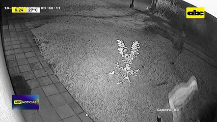 Video:  Vecinos en vigilia frente a la casa de supuestos robamotos