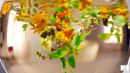 “Tea or Coffee Which One Protects You Better After 60”