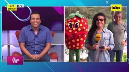 Siembra y cosecha de frutilla: la materia prima para mermeladas, jugos, postres y helados