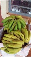 Denuncia Del Mal Estado De Alimentos En Escuela De Caaguazú