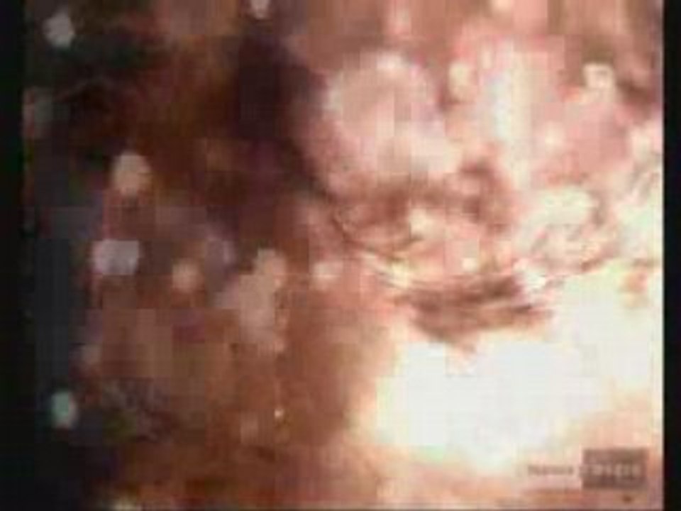 The creeps Fedde Le Grand