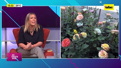 ¿Cómo tratar la jardinería en esta temporada?: las claves para hacerlo y cuidar tu jardín