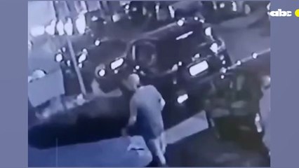 Tortoleros En Acción