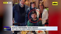 “Bachi” nombra nuevos “nepobabies” en el Senado: el hijo y nieto de Albino Ferrer