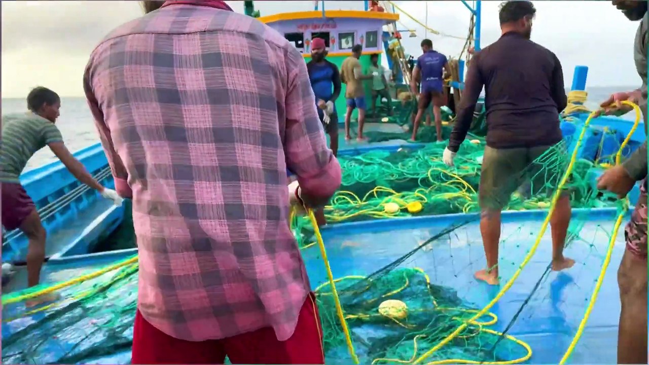 Gulf Explorer Series: Wild Fishing Moments You Won’t Believe