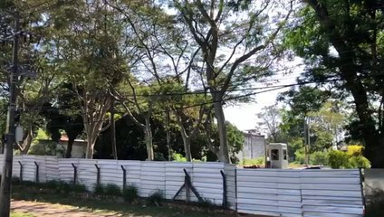 Así Derribaron Los áRboles Del Bosque San Vicente Con La Autorización De Nenecho