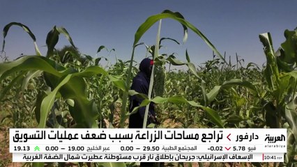 معارك الجيش السوداني و"الدعم السريع" تقلص المساحات الزراعية في كردفان ودارفور