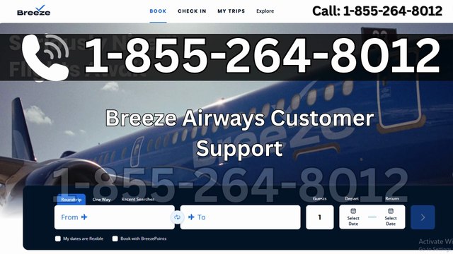How to Contact BREEZE® Airways℗ Support (Easy Tutorial)