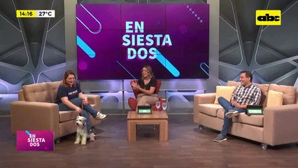 ¿Es necesario sacar a pasear a mi perro?: mitos y verdades sobre las mascotas