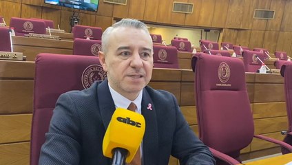 Diputado Daniel Centurión sobre reacción de Santiago Peña