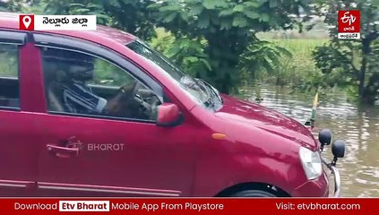 దిత్వా ఎఫెక్ట్​ - జలదిగ్భందంలో నెల్లూరు - పలు జిల్లాల్లో భారీ వర్షాలు