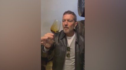 Antonio Banderas prueba un vino de hace 300 años y las redes no dan crédito: "Diarrea asegurada"