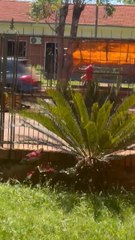 Manifestantes denuncian que funcionarios municipales de Jesús violentaron y hurtaron su carpa