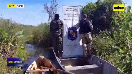 Operativo “Karugua”: incautan 10.000 kilos de marihuana en Juan de Mena