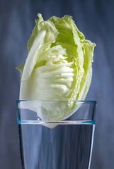 Home Vegetables growing in water.  #NatureTimelapse #PlantGrowth #AIShorts #SatisfyingVideo #RelaxingVideo #4KVideo #Documentary #ScienceVideo #VegetableGrowth #MacroShots #CinematicVisuals #DailyVlog #CreativeContent #HowToVideo #DIYVideo #FoodScience